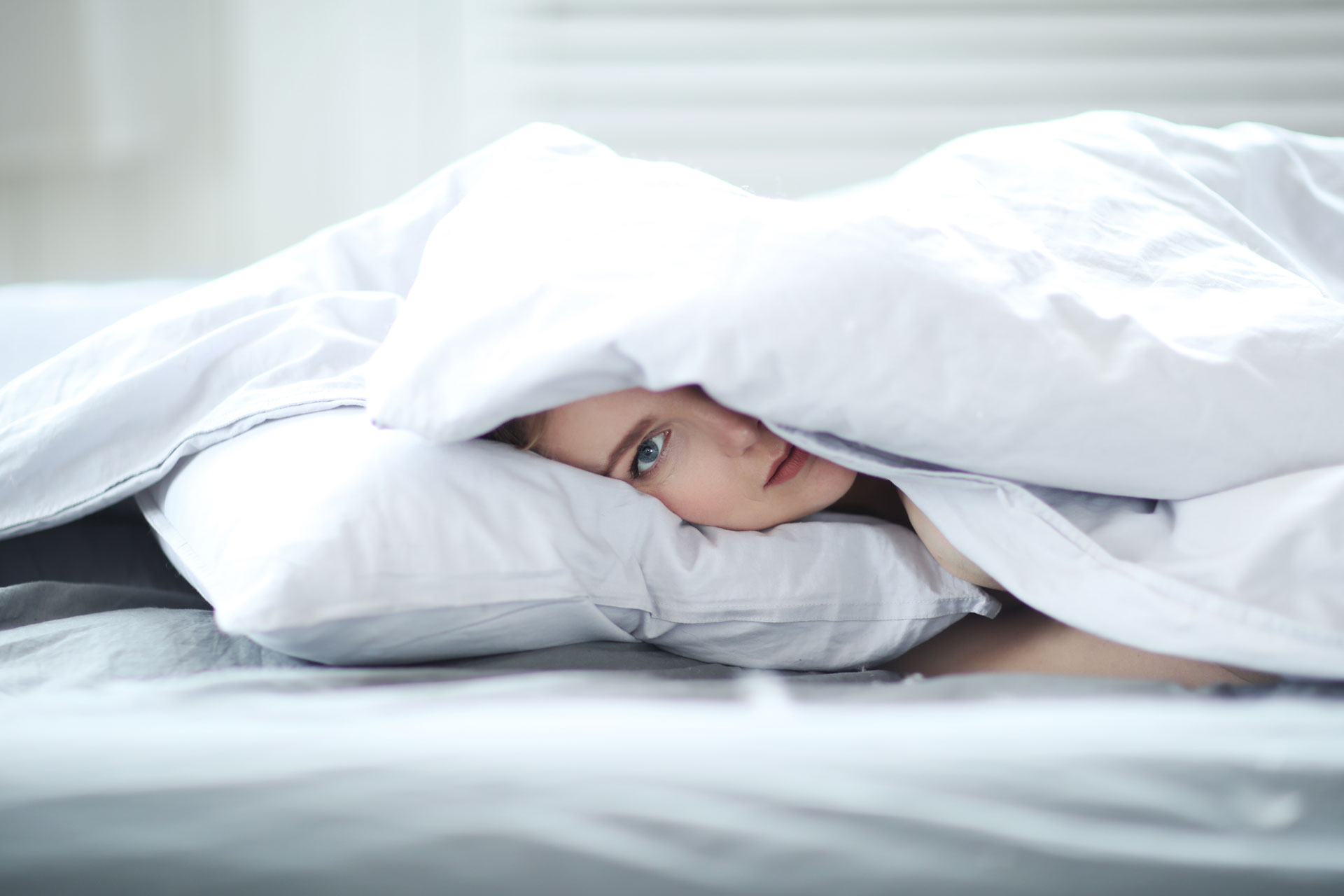 Decak ispod jorgana lezi na jastuku